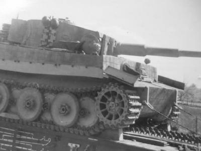 Tiger being transported on rail car.