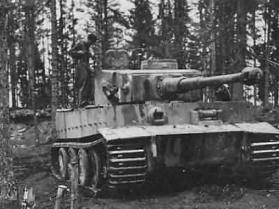 Tiger tank schwere panzer abteilung 502 113