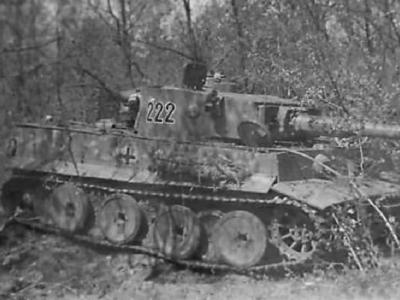 Tiger tank schwere panzer abteilung 503 222