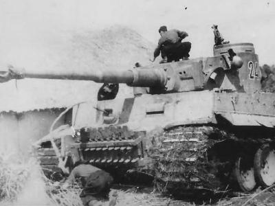 Tiger tank 242 of schwere Panzer Abteilung 503