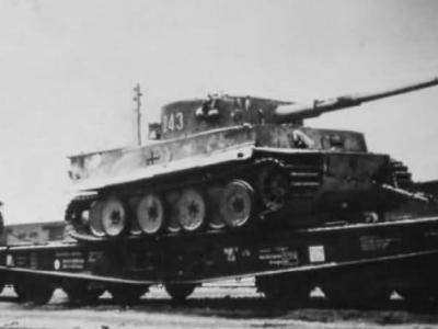 Tiger tank schwere panzer abteilung 503 243