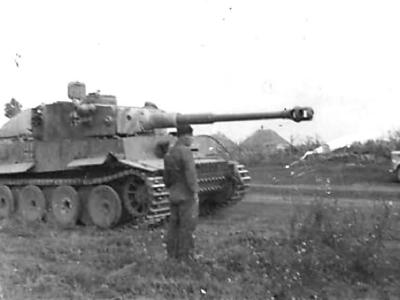 Tiger tank schwere panzer abteilung 503 334