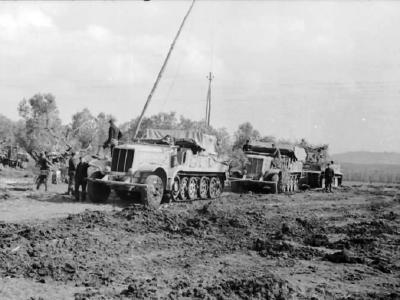 Halftracks and Tiger