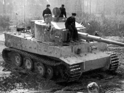 German Tiger I 12
