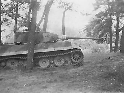 Panzerkampfwagen VI Tiger Ausf. E with Steel Wheels of the Schwere Panzer-Abteilung 505, tank number 312