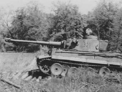 Tiger I number 321 sPzAbt. 503 11 during field exercises