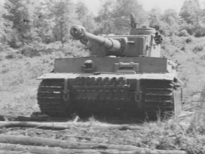 PzKpfw VI Tiger Ausf. E of Schwere Panzer-Abteilung 503, tank number 324 10