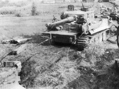 Tiger I of Schwere Panzer-Abteilung 503 (sPzAbt. 503), tank number 331 during field exercises