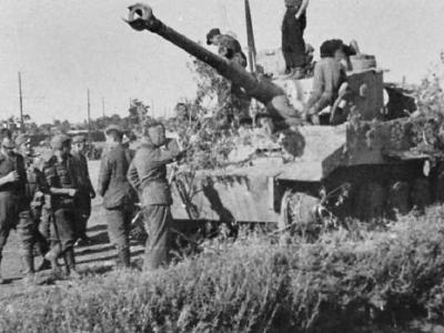 Tiger I tank 43