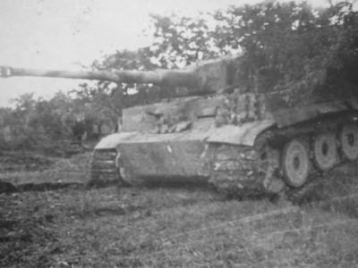 Tiger with steel wheels of the schwere Panzer-Abteilung 508. Italy 1944