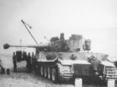 Afrika Korps Tiger of Schwere Panzer Abteilung 501 tank number 141