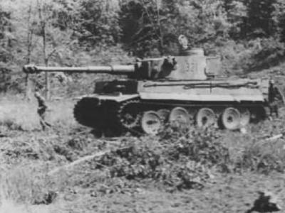 Panzer VI Tiger of Schwere Panzer-Abteilung 503, tank number 321 4