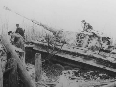 Panzerkampfwagen VI Tiger of Schwere Panzer-Abteilung 505, tank number 223, tank with winter camouflage