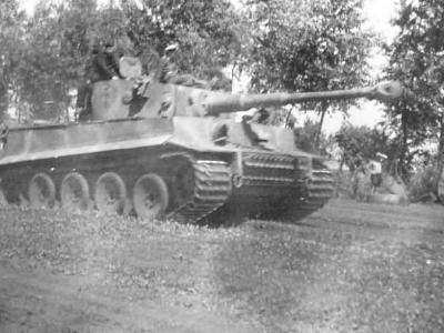 Panzer VI Tiger of Schwere Panzer-Abteilung 505, tank number 213