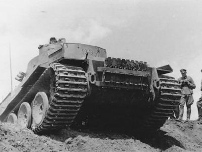 Tiger part 2