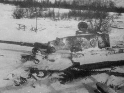 Tiger eastern front winter