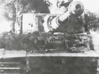 Tiger I number 8 „Strolch” Italy 1944