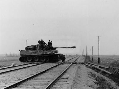 Tiger tank 17