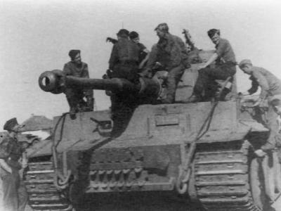 Tiger tank 24