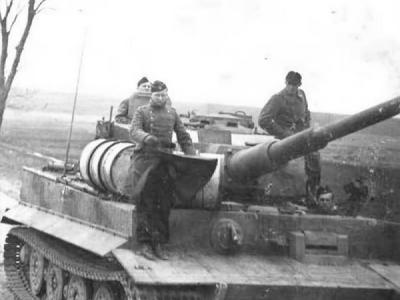 Tiger tank 26
