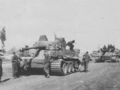 Tiger tanks 331 and 332 from schwere Panzerabteilung 503