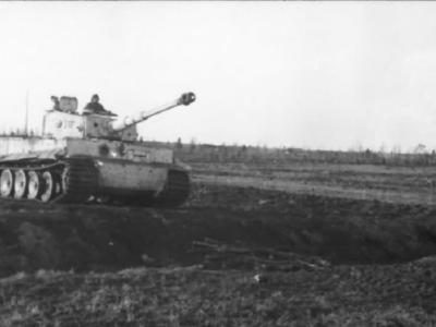 Tiger tank 217 of of schwere Panzer-Abteilung 503 – winter camo