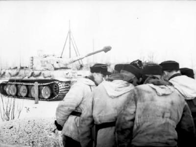 Tiger I number 134 of Schwere Panzer Abteilung 501 winter camo eastern front