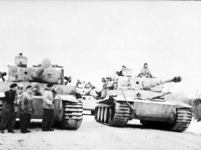 Tiger I number 223 of Schwere Panzer Abteilung 501 winter camo eastern front