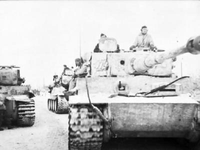 Tiger I number 223 of Schwere Panzer Abteilung 501 winter camo eastern front 2