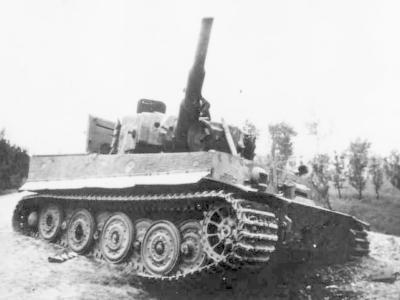 Tiger zimmerit 7