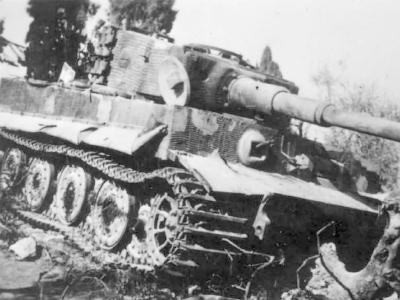 Tiger zimmerit 9