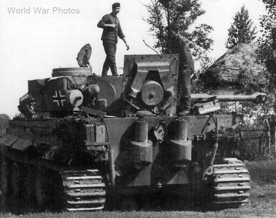 Tiger Tank 323 Of The Schwere Panzer Abteilung 503 Summer 1943