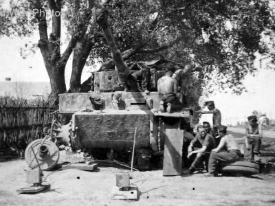 Tiger tank of Schwere Panzer-Abteilung 501, Eastern Front