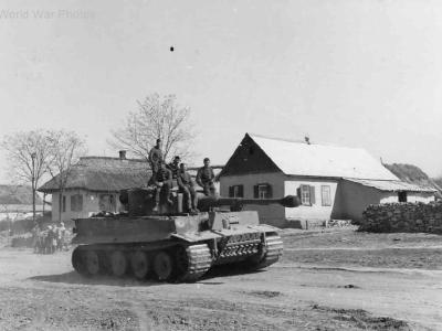 Tiger tank „324” of the schwere Panzer-Abteilung 503, 1943