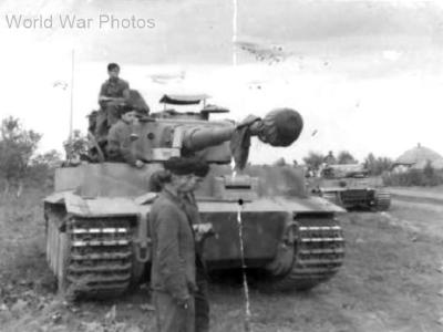 Tiger tank „334” of Schwere Panzer-Abteilung 503