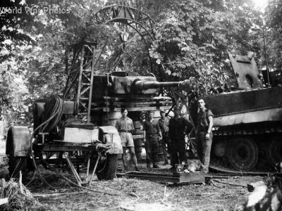 Tiger from 1/schwere Panzer Abteilung 508 Italy