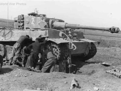 Tiger I tank „2” of 2/schwere Panzerabteilung 508, track change – Anzio Italy 1944