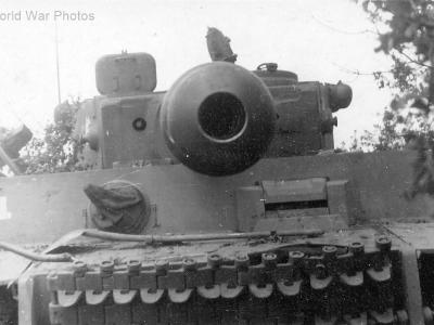 Tiger of the Das Reich Division