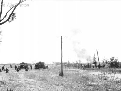 Tigers in action, Bielgorod 5 July 1943