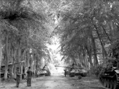 King tiger tanks schwere Heeres Panzer Abteilung 503