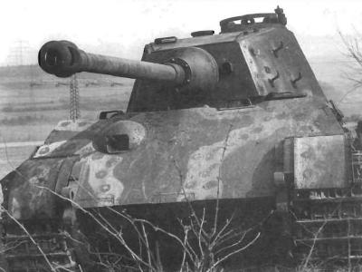 Kink Tiger near Kassel front view