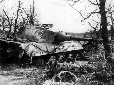 Tiger 2 tank 35