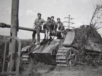 Kink Tiger with transport tracks near Kassel