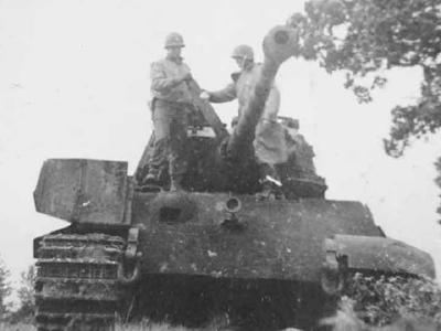 captured Tiger 2