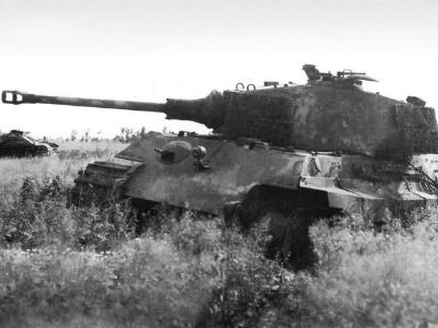 King Tiger 321 Schwere SS-Panzer-Abteilung 502
