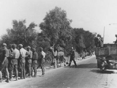 Afrika corps soldiers