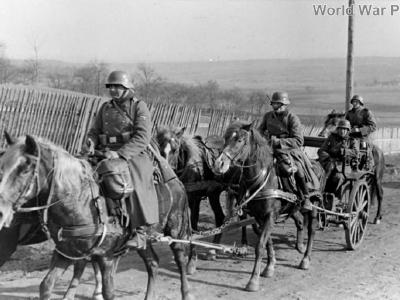 Kavallerie Waffen-SS