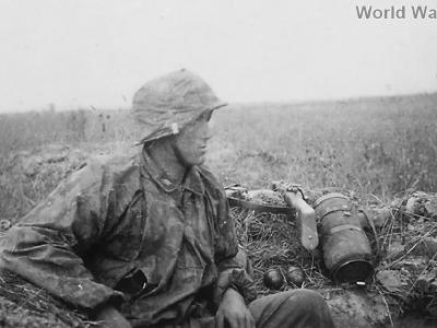 Soldier of the Waffen-SS