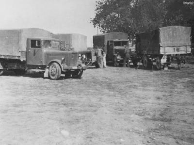 Bussing-NAG type 305 Poland 1939