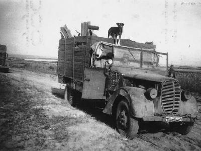 Ford G917 WH761203